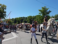 Foire chevaux bis_1  2016_36.jpg