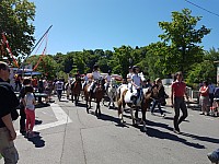 Foire chevaux bis_1  2016_37.jpg