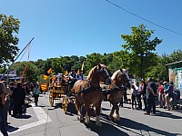 Foire chevaux bis_1  2016_41.jpg