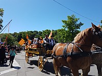 Foire chevaux bis_1  2016_42.jpg