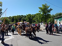 Foire chevaux bis_1  2016_49.jpg