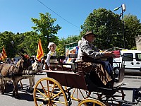 Foire chevaux bis_1  2016_52.jpg