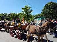 Foire chevaux bis_1  2016_53.jpg