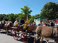 Foire chevaux bis_1  2016_54.jpg