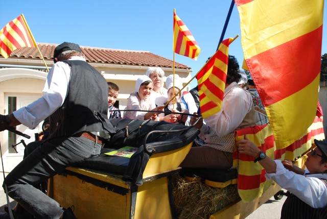 Foire chevaux bedarrides 2016_05.jpg