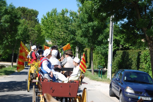 Foire chevaux bedarrides 2016_07.jpg