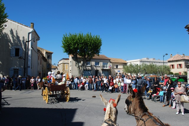 Foire chevaux bedarrides 2016_10.jpg