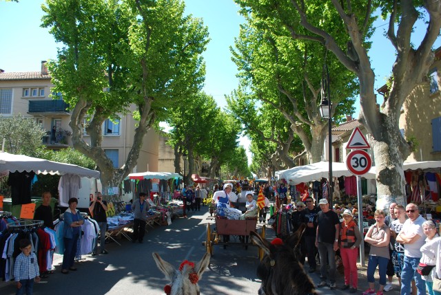 Foire chevaux bedarrides 2016_11.jpg