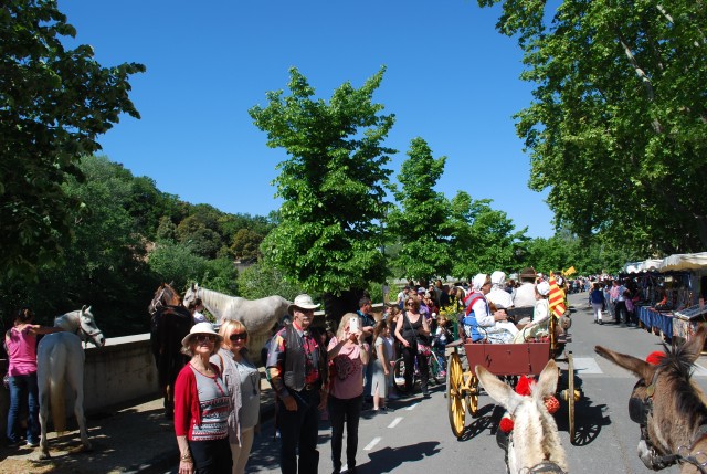 Foire chevaux bedarrides 2016_14.jpg