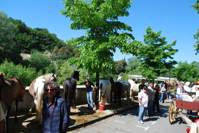 Foire chevaux bedarrides 2016_15.jpg