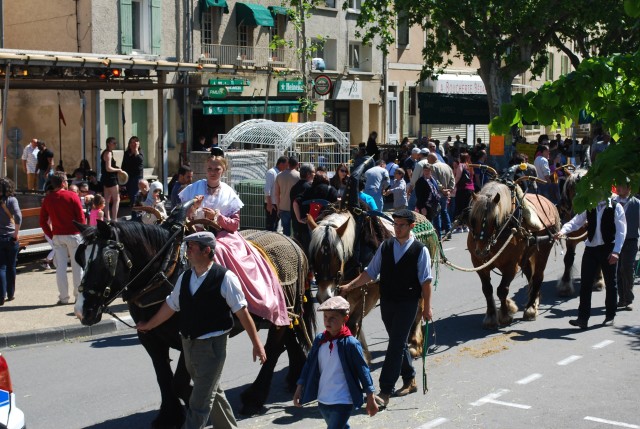 Foire chevaux bedarrides 2016_25.jpg