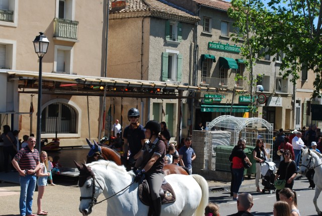 Foire chevaux bedarrides 2016_29.jpg