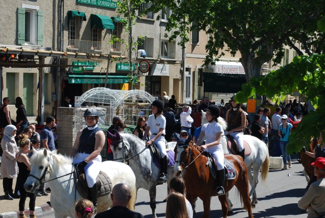 Foire chevaux bedarrides 2016_31.jpg