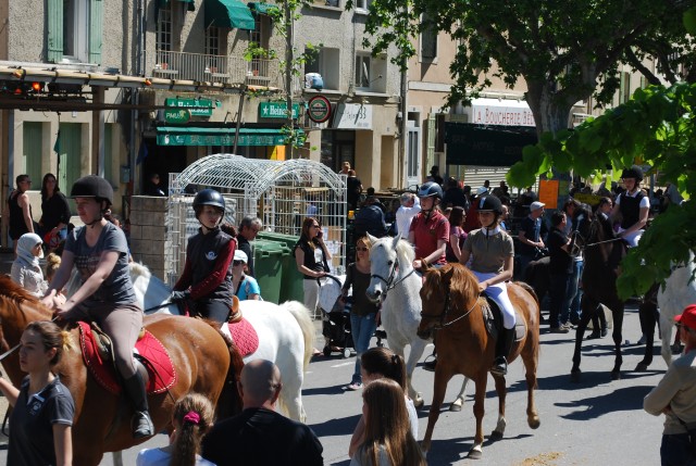 Foire chevaux bedarrides 2016_32.jpg