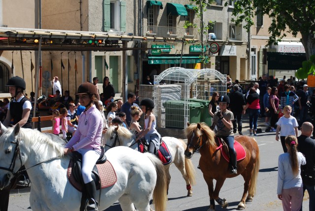 Foire chevaux bedarrides 2016_33.jpg