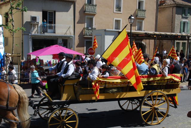 Foire chevaux bedarrides 2016_37.jpg