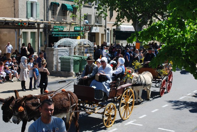 Foire chevaux bedarrides 2016_39.jpg