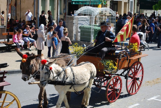 Foire chevaux bedarrides 2016_40.jpg