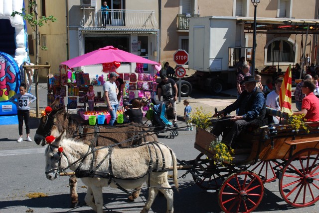 Foire chevaux bedarrides 2016_43.jpg