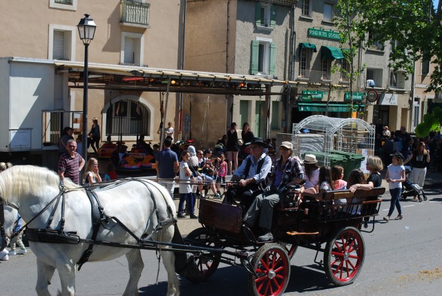 Foire chevaux bedarrides 2016_45.jpg