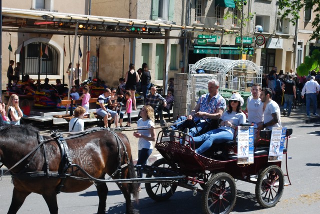 Foire chevaux bedarrides 2016_46.jpg