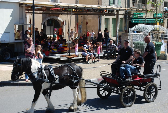 Foire chevaux bedarrides 2016_47.jpg