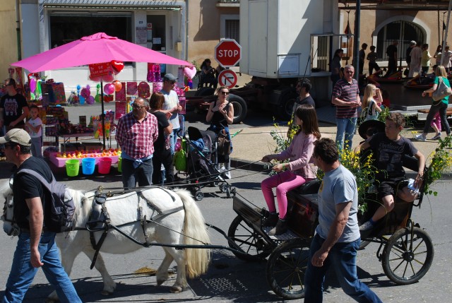 Foire chevaux bedarrides 2016_48.jpg