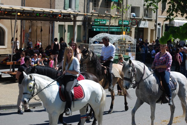 Foire chevaux bedarrides 2016_52.jpg