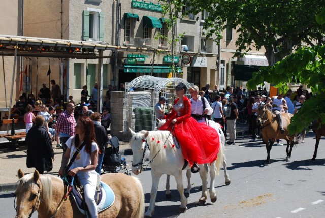 Foire chevaux bedarrides 2016_53.jpg