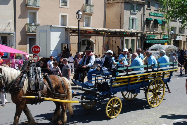 Foire chevaux bedarrides 2016_54.jpg