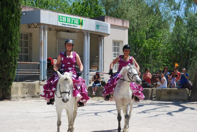 Foire chevaux bedarrides 2016_59.jpg