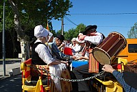 Foire chevaux bedarrides 2016_03.jpg