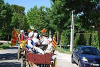 Foire chevaux bedarrides 2016_07.jpg