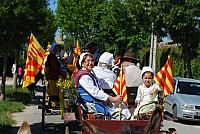 Foire chevaux bedarrides 2016_08.jpg