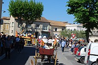 Foire chevaux bedarrides 2016_09.jpg