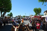 Foire chevaux bedarrides 2016_12.jpg