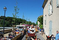 Foire chevaux bedarrides 2016_13.jpg