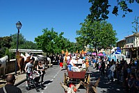 Foire chevaux bedarrides 2016_16.jpg