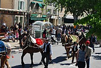 Foire chevaux bedarrides 2016_26.jpg