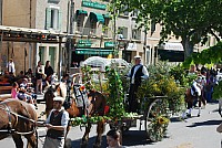 Foire chevaux bedarrides 2016_27.jpg