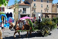 Foire chevaux bedarrides 2016_28.jpg