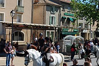 Foire chevaux bedarrides 2016_29.jpg