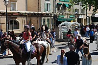 Foire chevaux bedarrides 2016_30.jpg