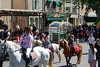 Foire chevaux bedarrides 2016_33.jpg