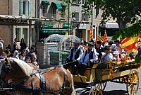 Foire chevaux bedarrides 2016_36.jpg