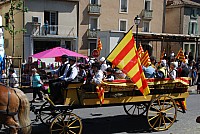 Foire chevaux bedarrides 2016_37.jpg