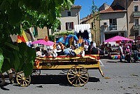 Foire chevaux bedarrides 2016_38.jpg