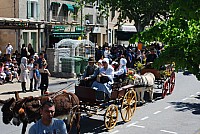 Foire chevaux bedarrides 2016_39.jpg