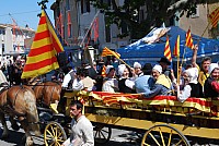 Foire chevaux bedarrides 2016_42.jpg