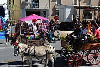 Foire chevaux bedarrides 2016_43.jpg